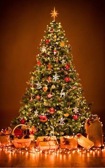 Coffret limité Noël